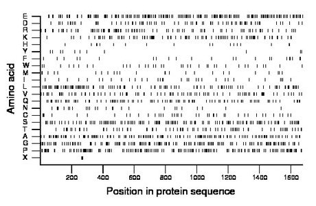 amino acid map