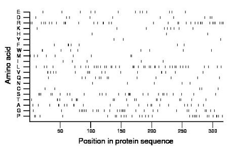 amino acid map