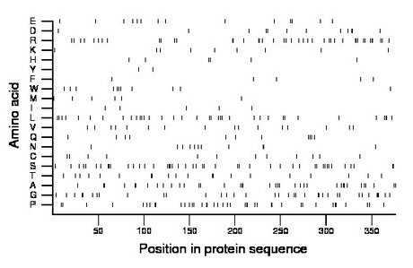 amino acid map