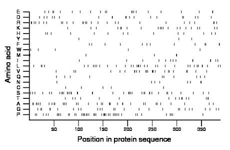 amino acid map