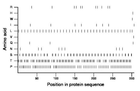 amino acid map