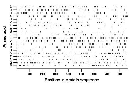 amino acid map