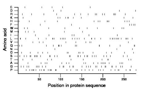 amino acid map