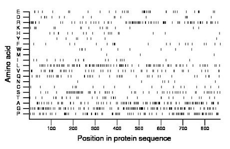 amino acid map