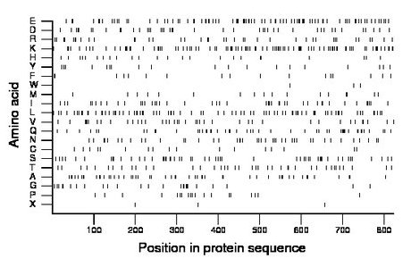 amino acid map