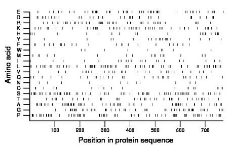 amino acid map