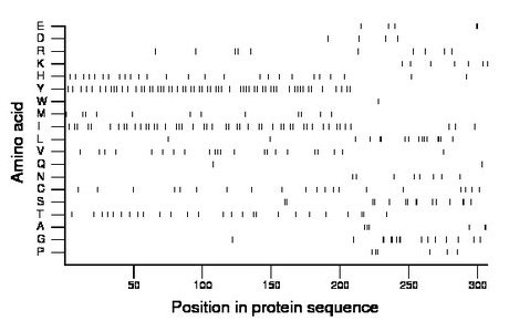 amino acid map