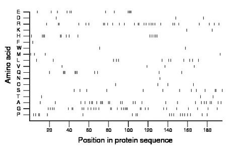 amino acid map