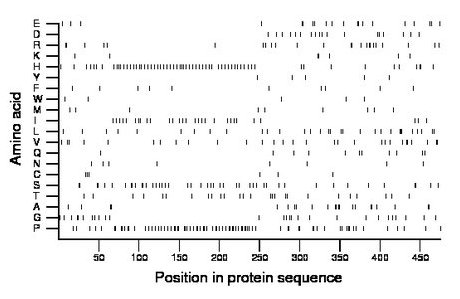 amino acid map