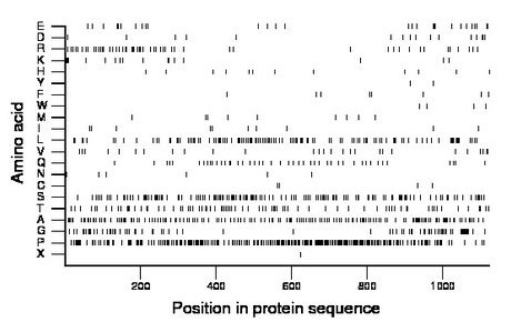 amino acid map