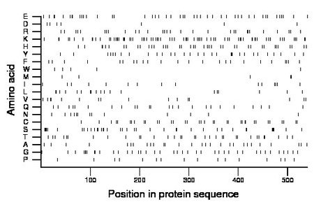 amino acid map