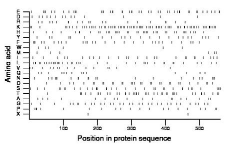 amino acid map