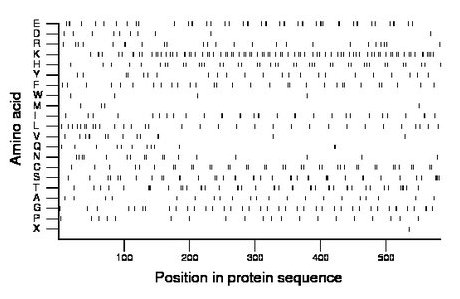 amino acid map