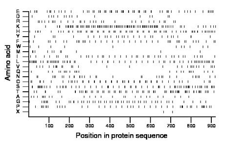 amino acid map