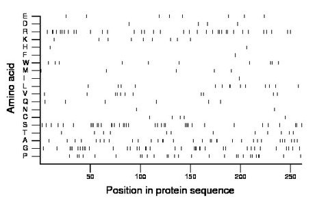 amino acid map