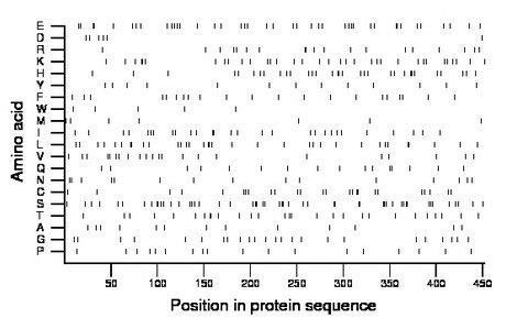 amino acid map