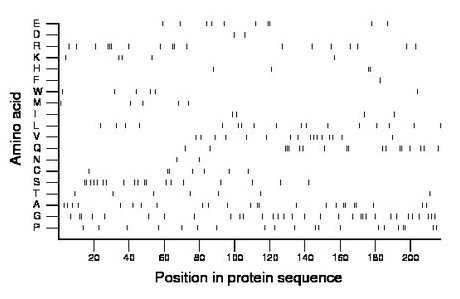 amino acid map