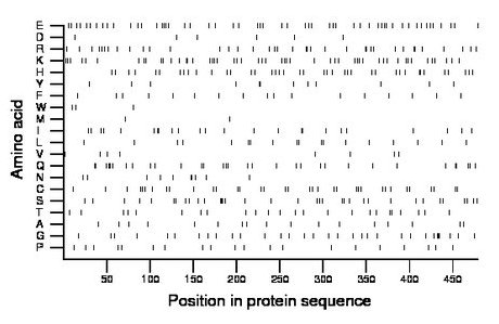 amino acid map