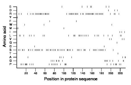 amino acid map