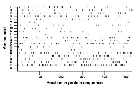 amino acid map