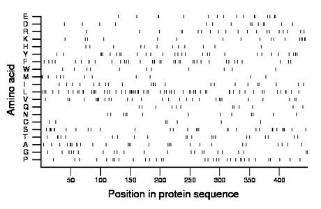 amino acid map