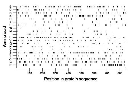 amino acid map