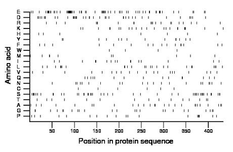 amino acid map