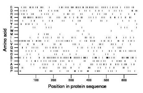 amino acid map