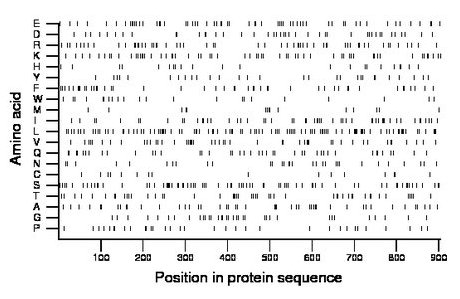 amino acid map