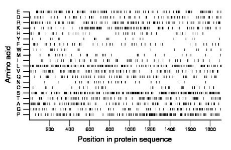 amino acid map