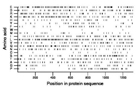 amino acid map