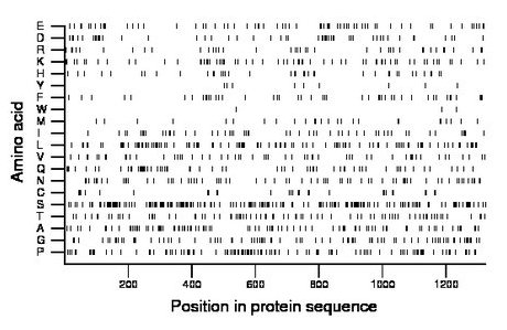 amino acid map