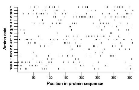 amino acid map