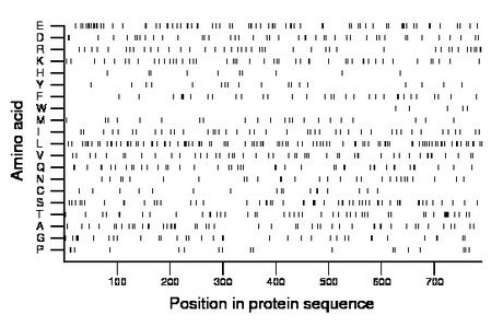 amino acid map