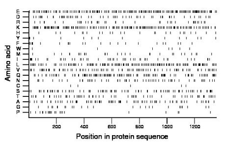 amino acid map