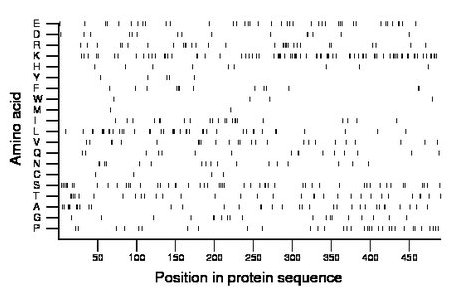 amino acid map