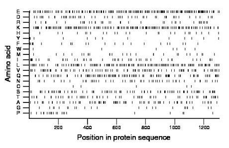 amino acid map