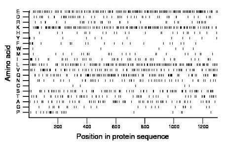 amino acid map