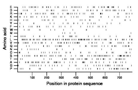 amino acid map