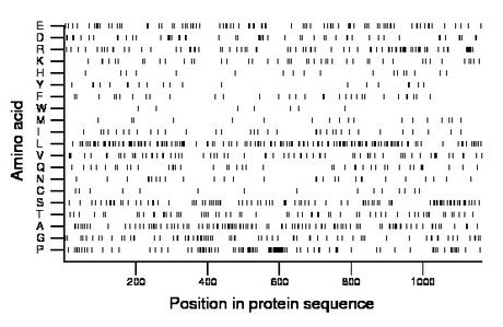 amino acid map