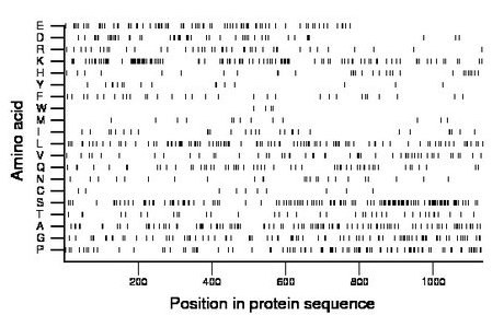 amino acid map