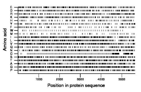 amino acid map