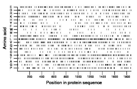 amino acid map