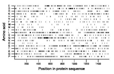 amino acid map