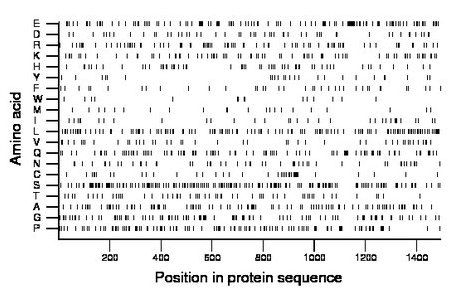 amino acid map