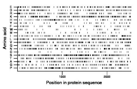 amino acid map