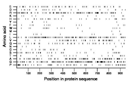 amino acid map