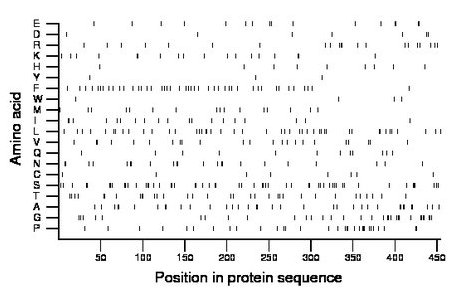 amino acid map