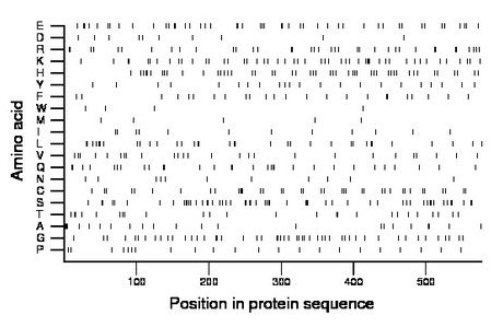 amino acid map