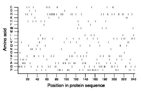 amino acid map